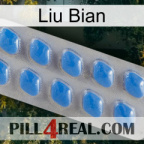 Liu Bian 22